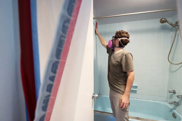 Best Environmental Consulting for Mold Prevention  in Sandia Heights, NM