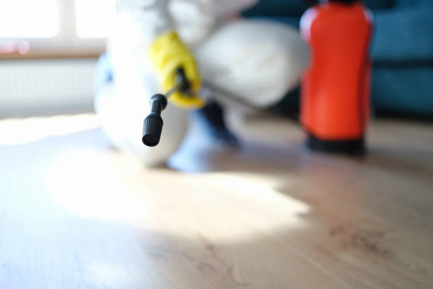Best Mold Remediation for Rental Properties  in Sandia Heights, NM