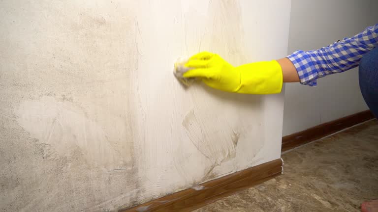 Best Indoor Air Quality Assessment  in Sandia Heights, NM