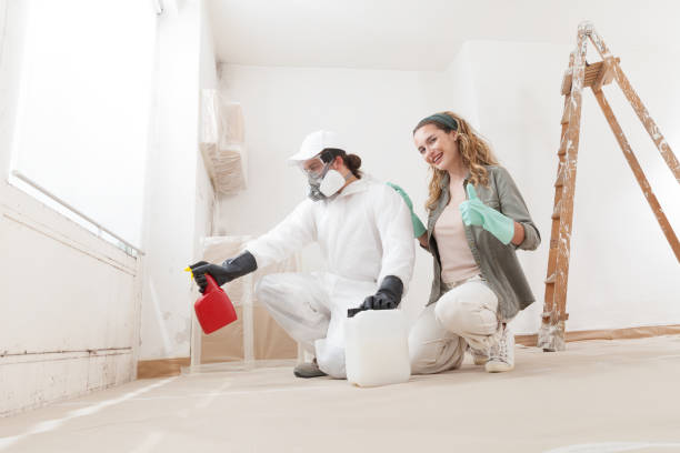 Best Real Estate Mold Inspection  in Sandia Heights, NM